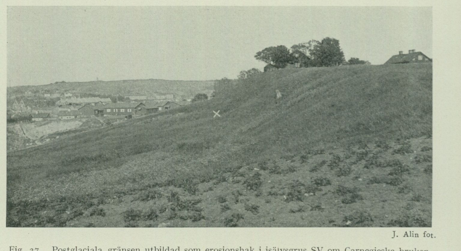 Source photograph or plate from PDF page 98