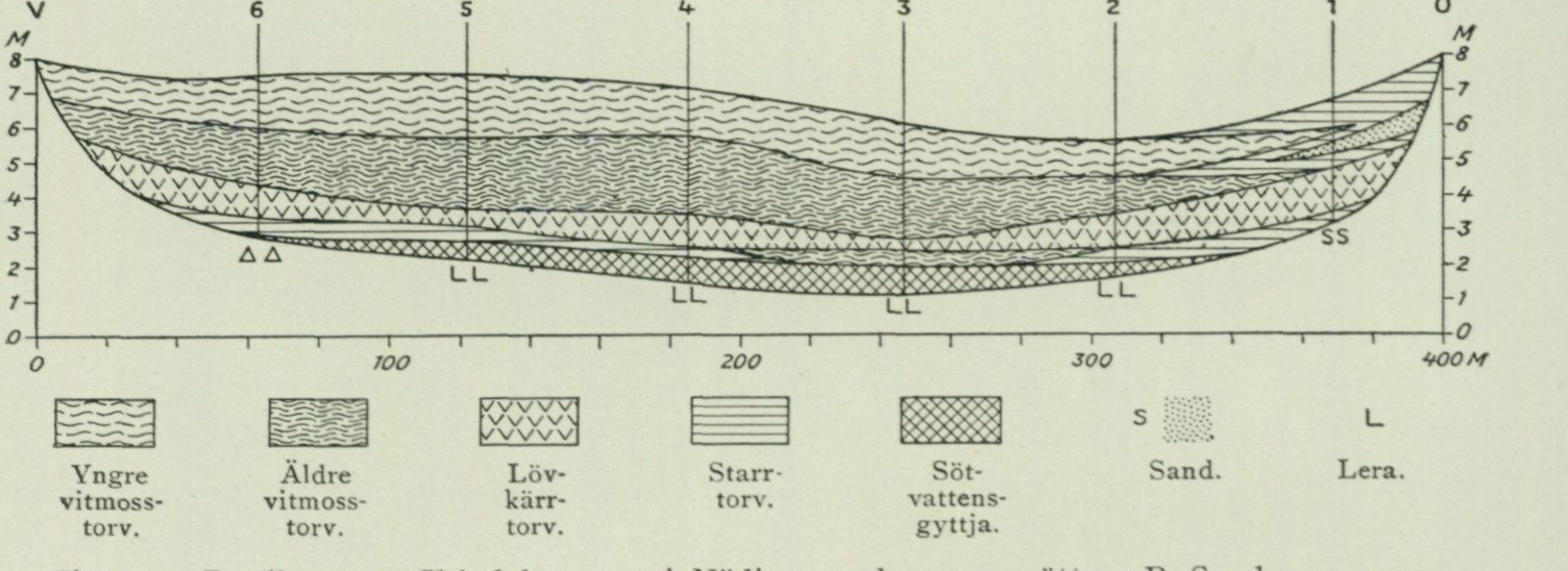 Source graph or geological profile from PDF page 116