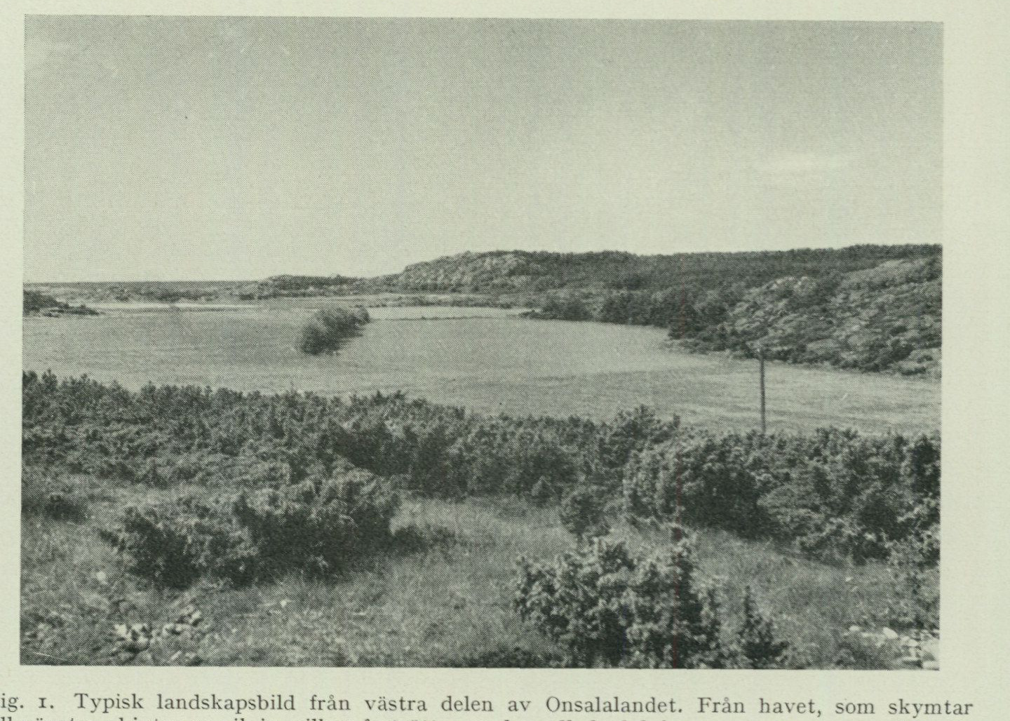 Source photograph or plate from PDF page 5
