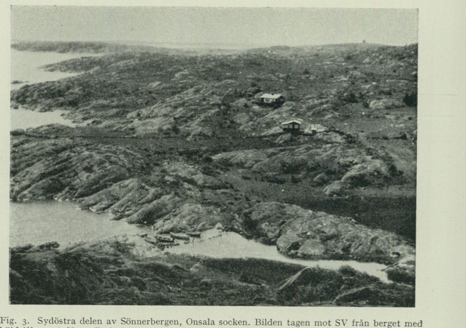 Source photograph or plate from PDF page 7
