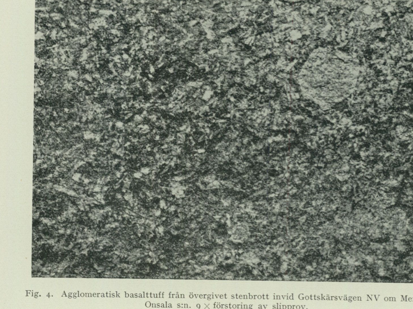 Source photograph or plate from PDF page 13