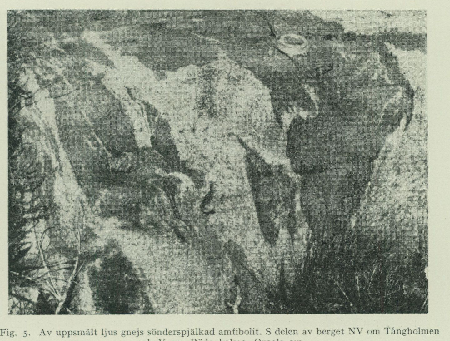 Source photograph or plate from PDF page 16