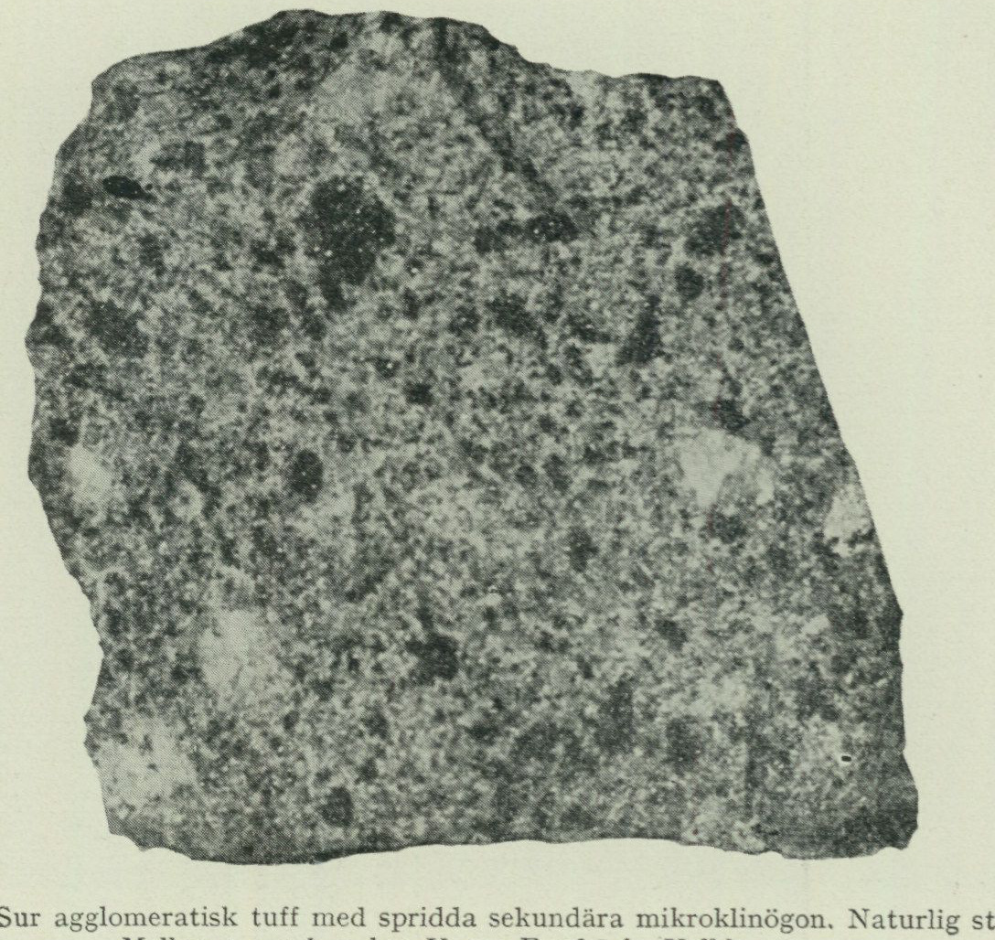Source photograph or plate from PDF page 17