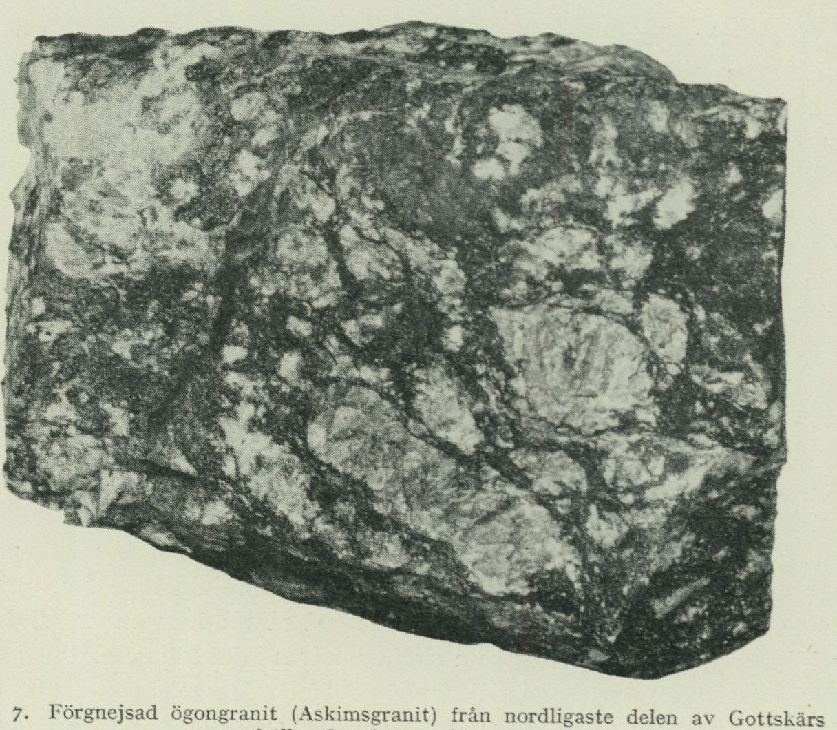 Source photograph or plate from PDF page 25