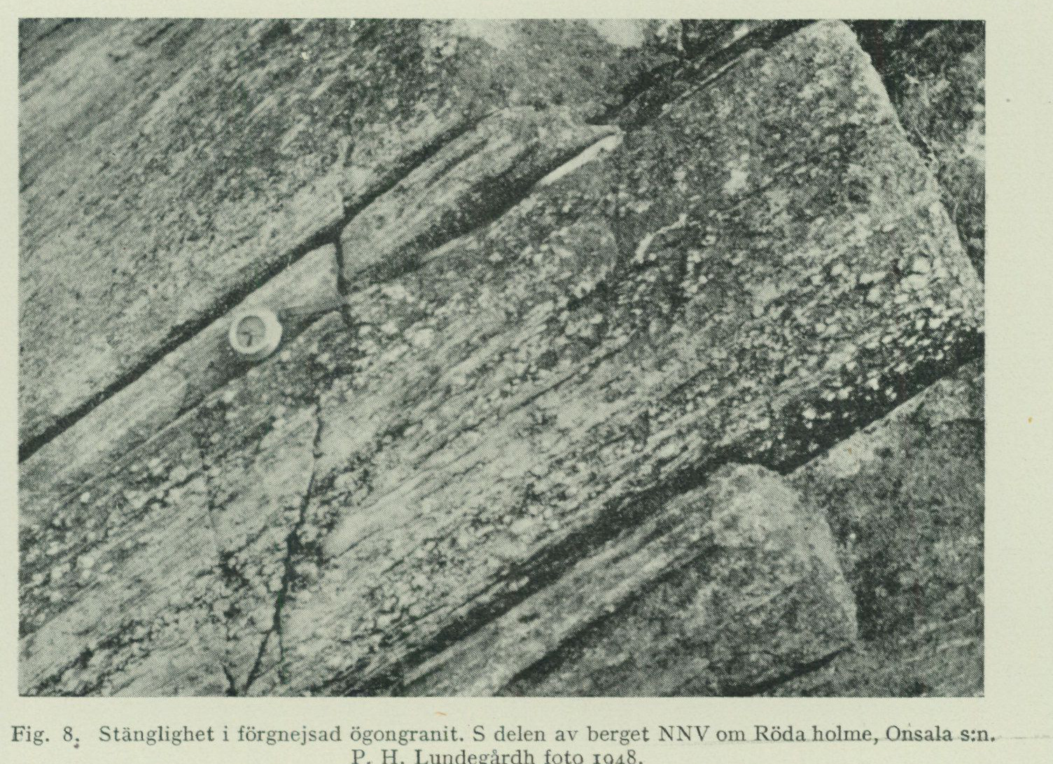Source photograph or plate from PDF page 26