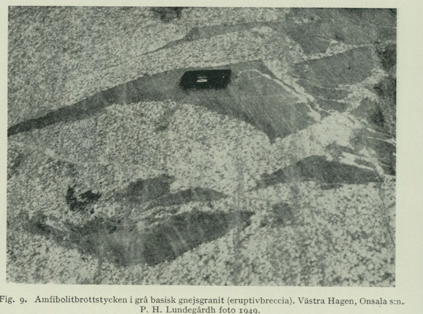Source photograph or plate from PDF page 27