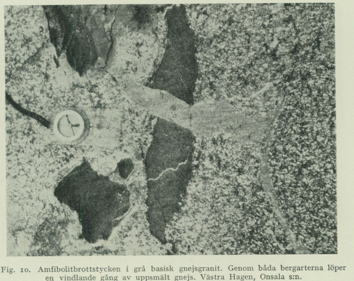 Source photograph or plate from PDF page 28