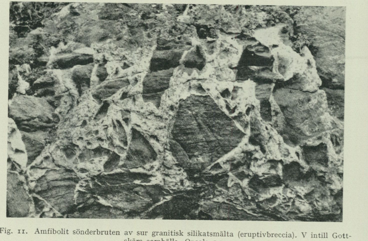 Source photograph or plate from PDF page 29