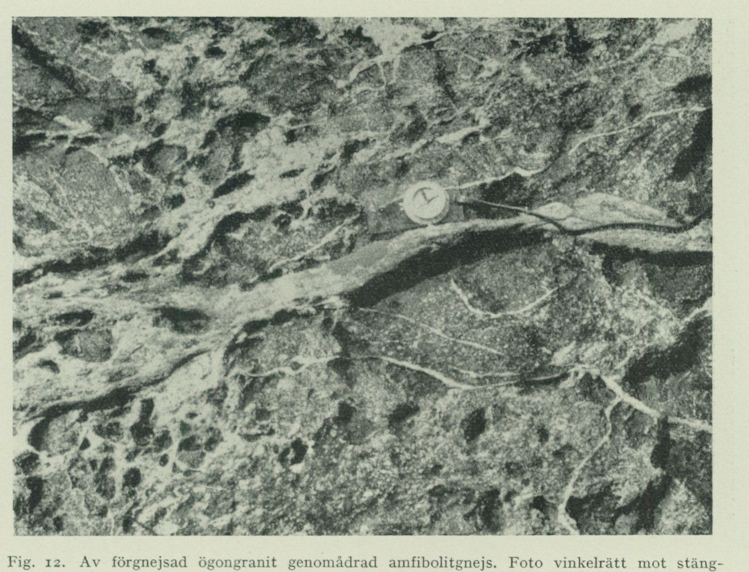 Source photograph or plate from PDF page 30