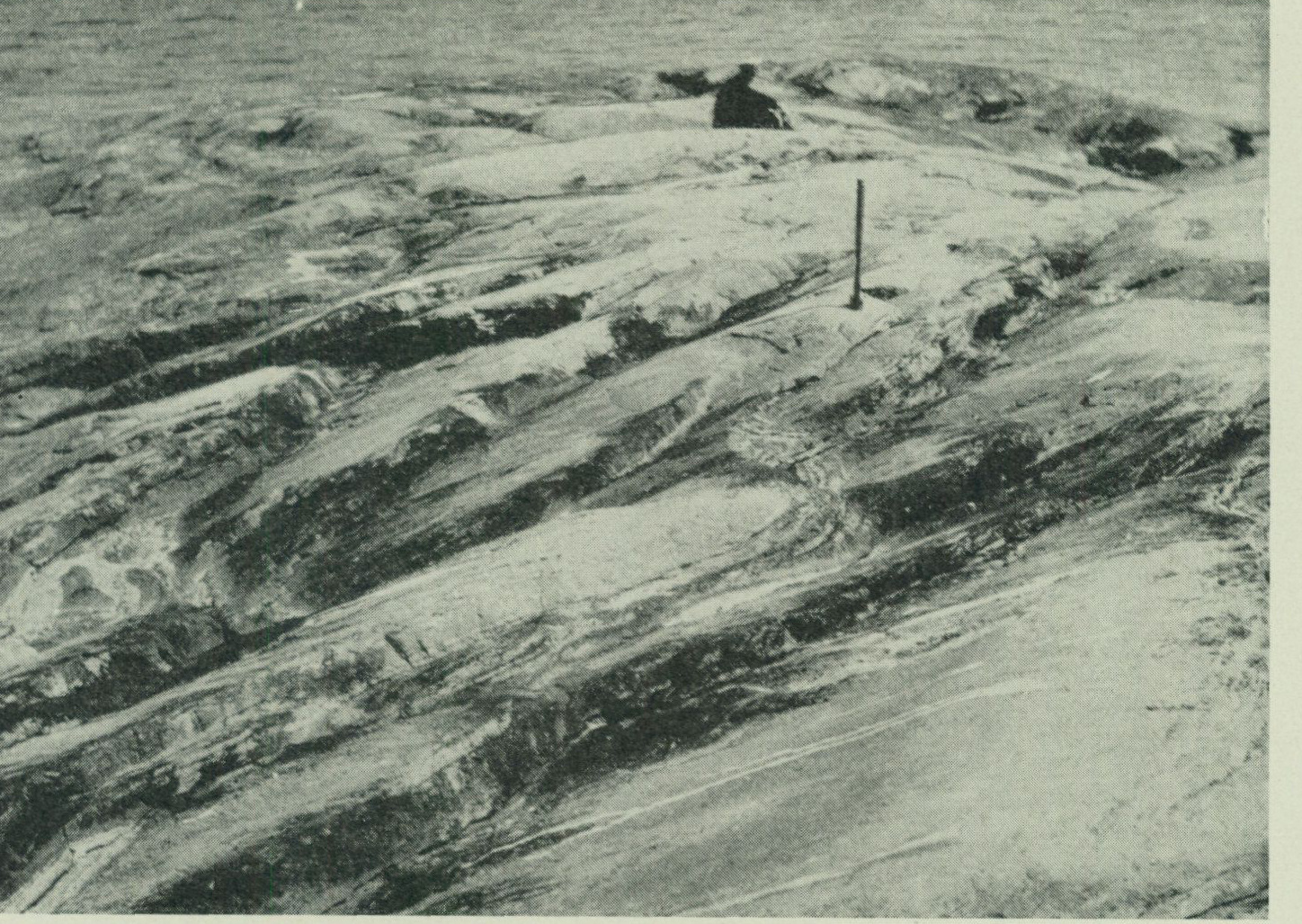 Source photograph or plate from PDF page 32