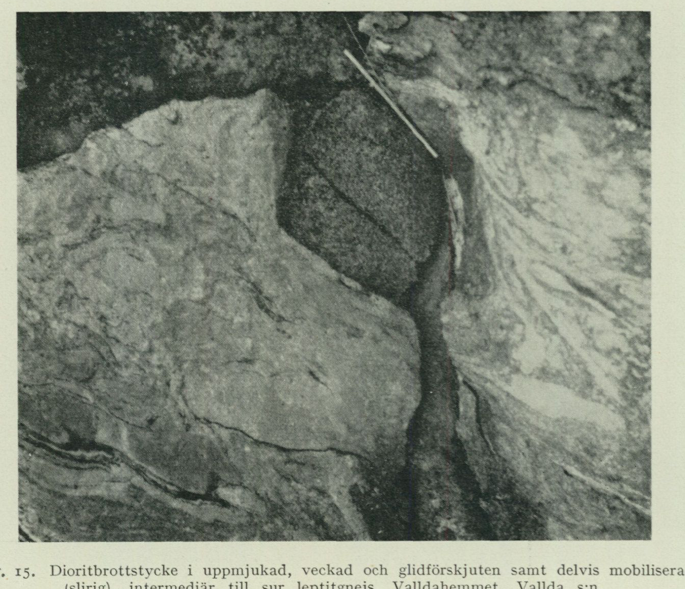 Source photograph or plate from PDF page 33