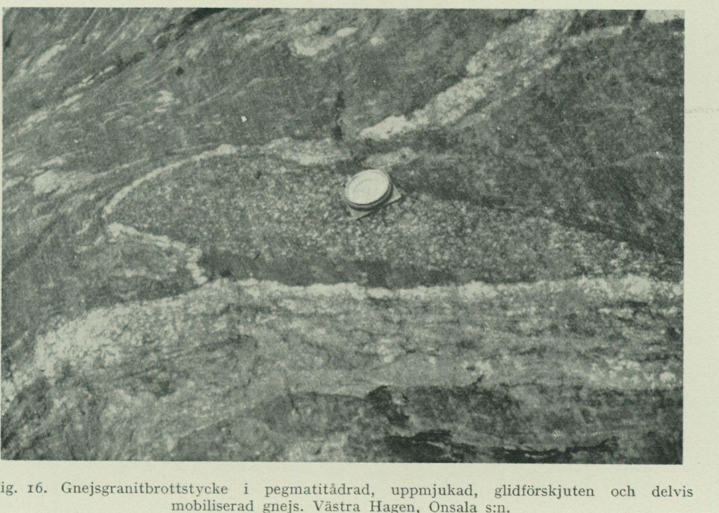 Source photograph or plate from PDF page 34