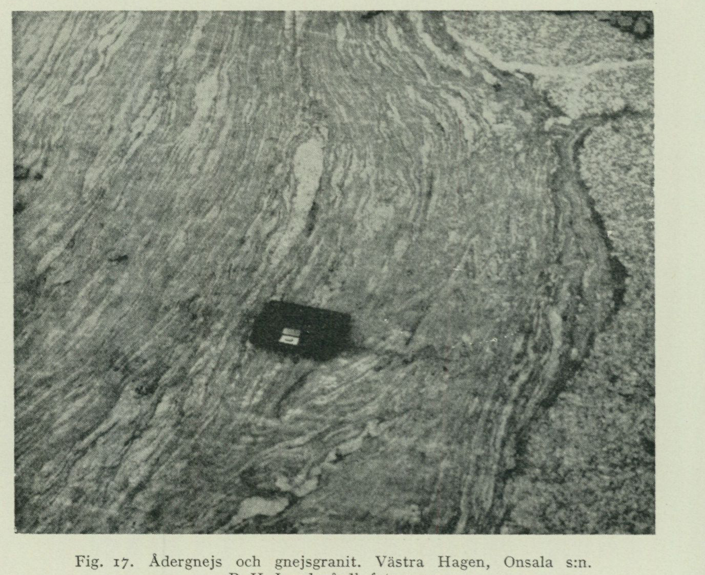 Source photograph or plate from PDF page 35