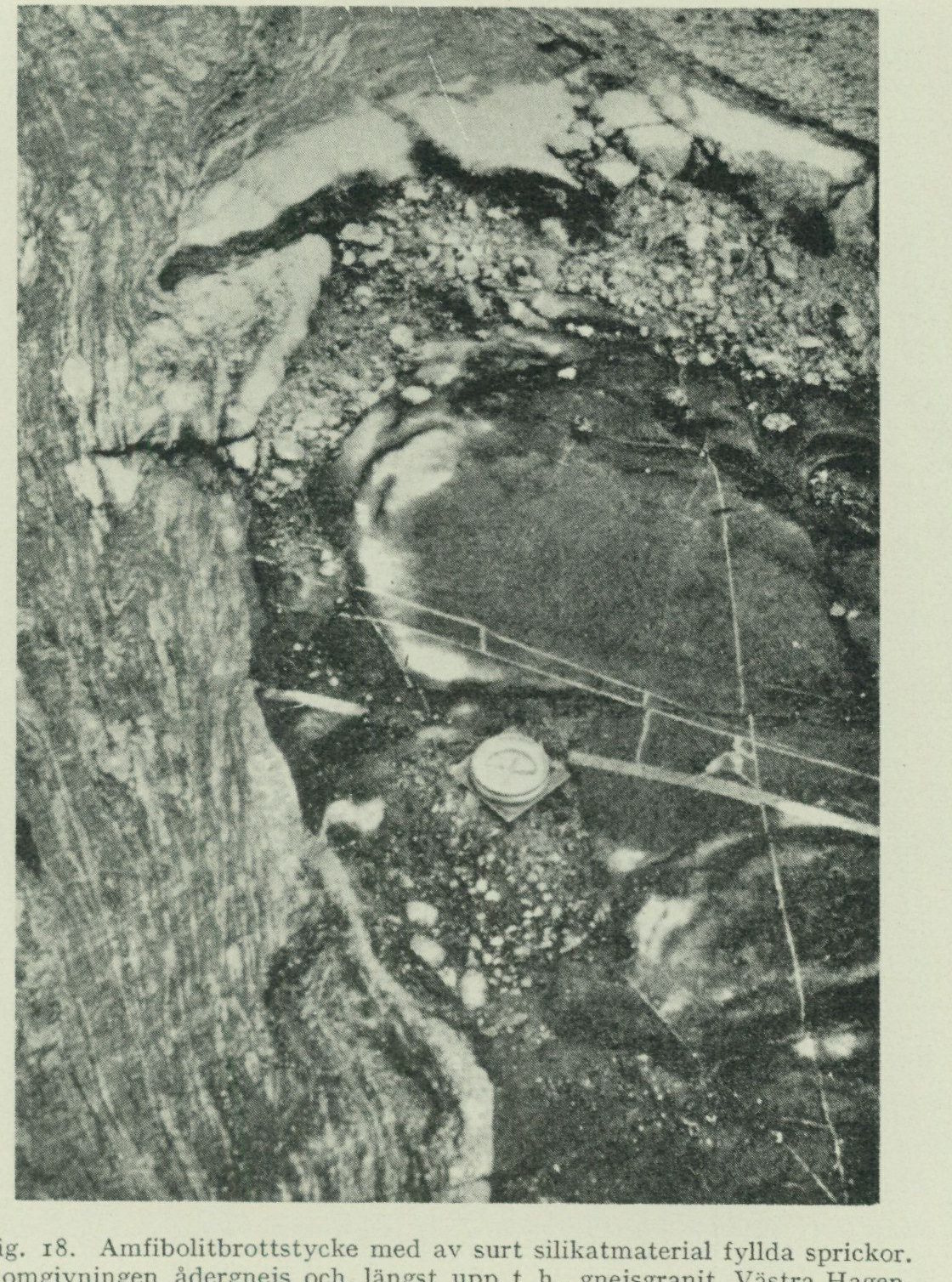 Source photograph or plate from PDF page 36