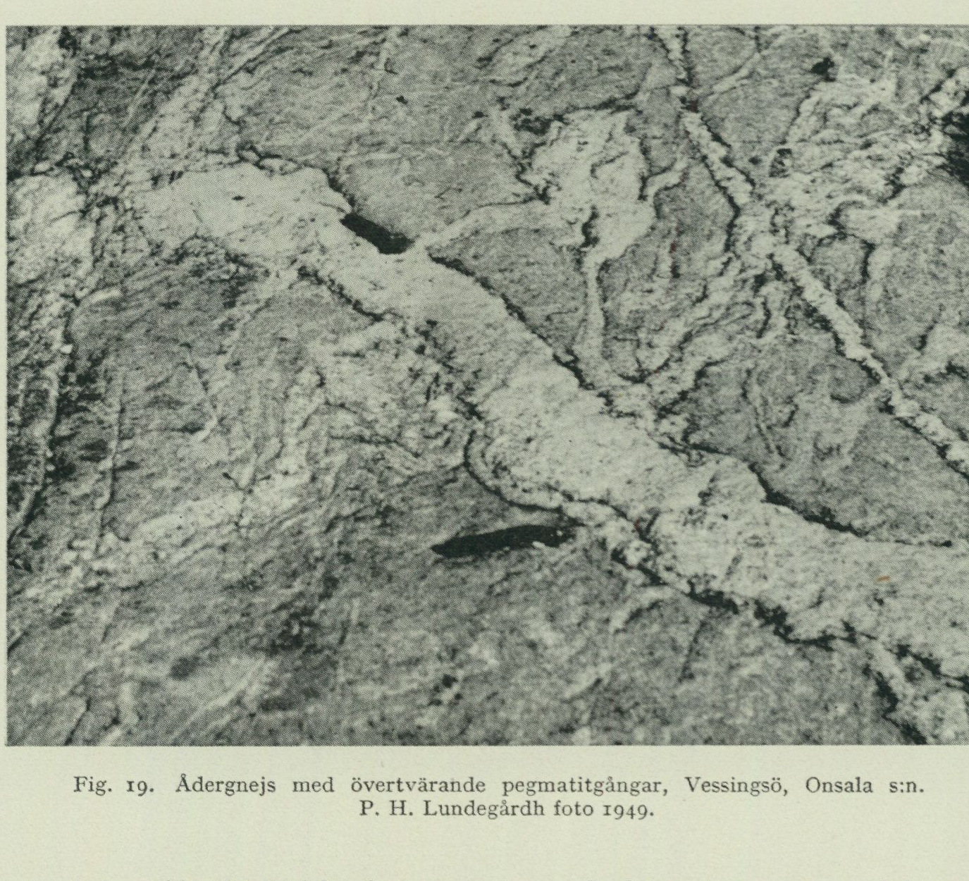 Source photograph or plate from PDF page 37