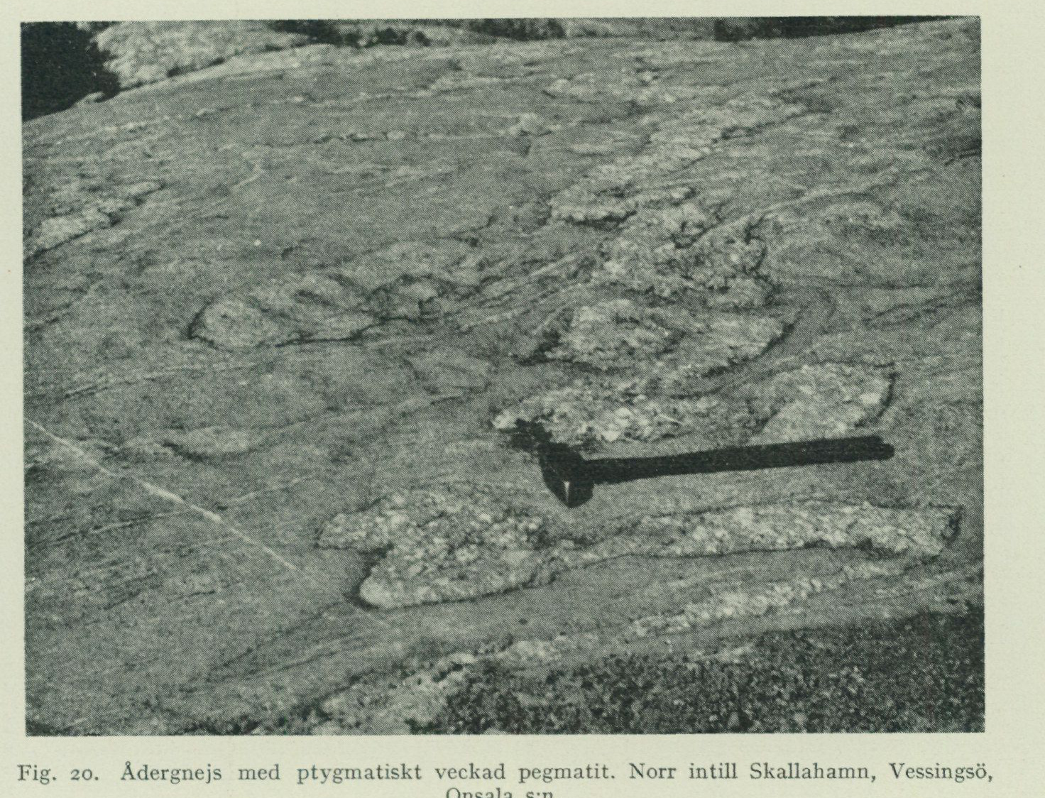 Source photograph or plate from PDF page 38