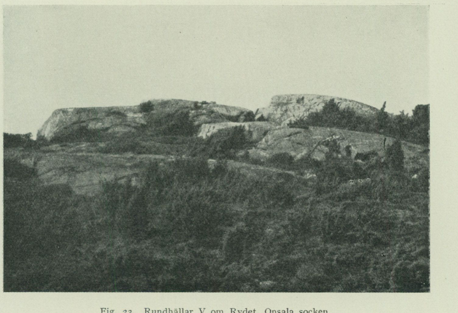 Source photograph or plate from PDF page 48