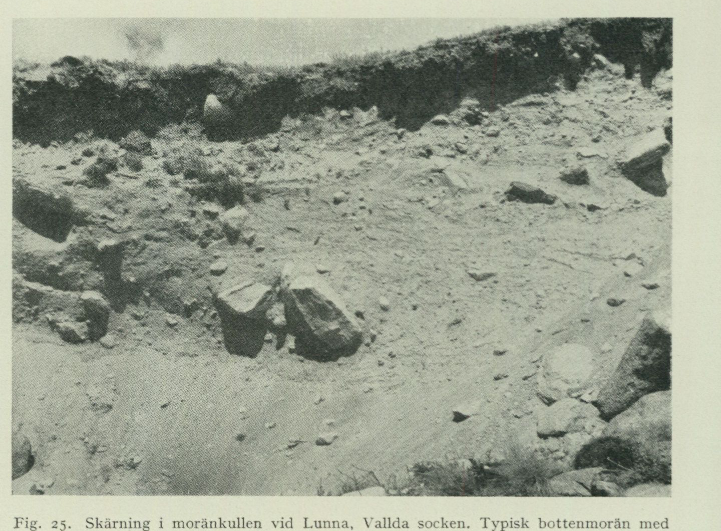 Source photograph or plate from PDF page 53