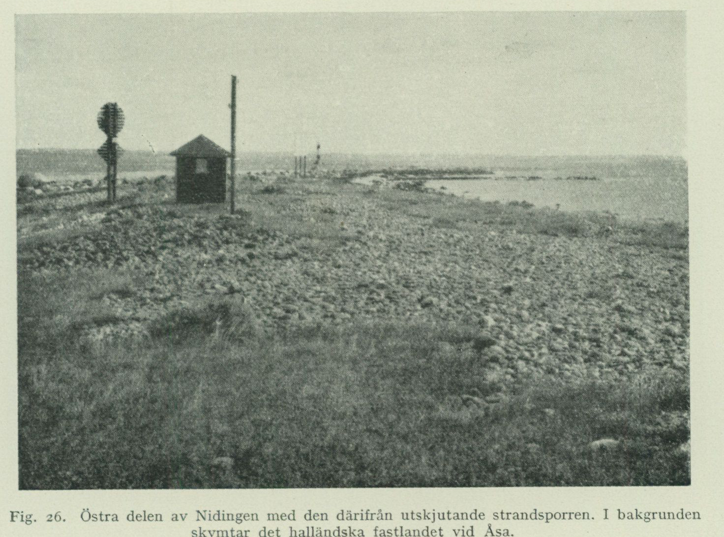 Source photograph or plate from PDF page 54