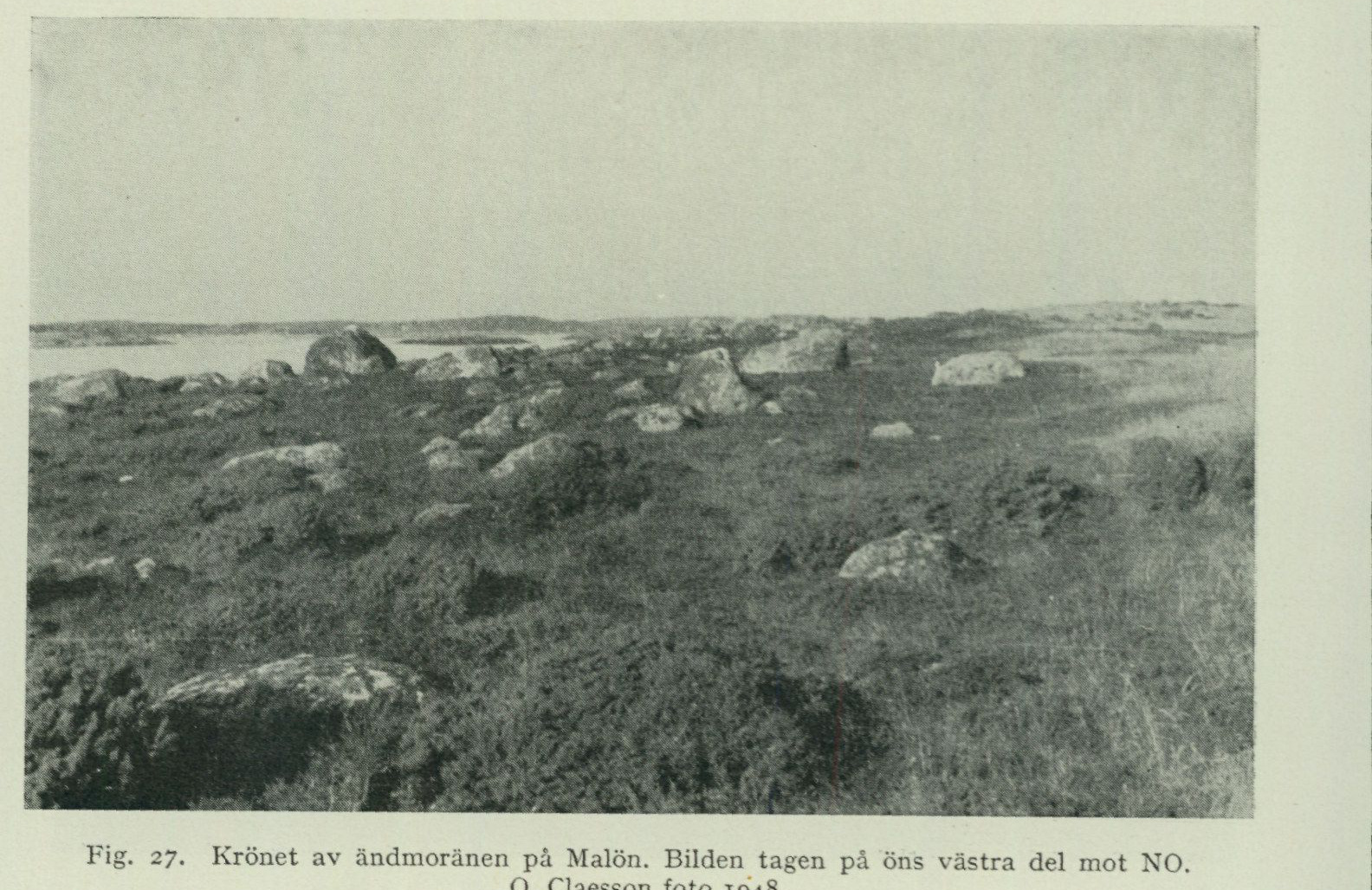 Source photograph or plate from PDF page 55