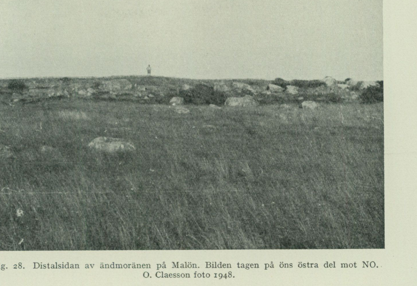 Source photograph or plate from PDF page 56