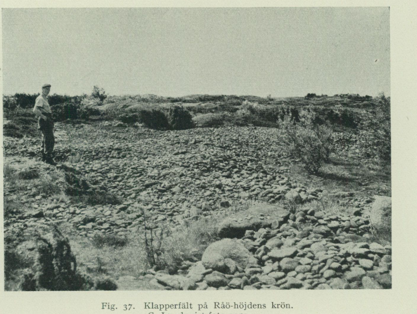 Source photograph or plate from PDF page 78