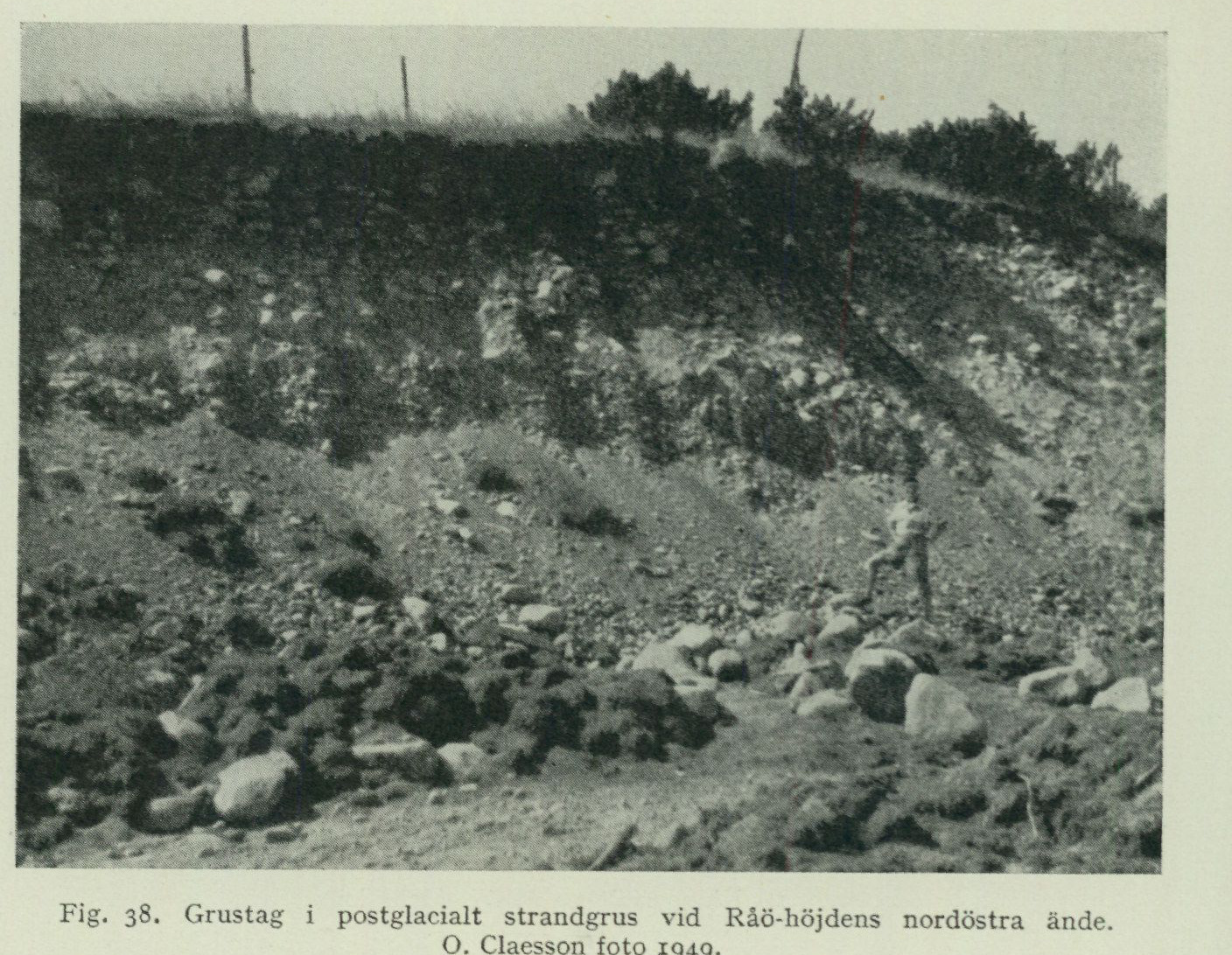 Source photograph or plate from PDF page 79