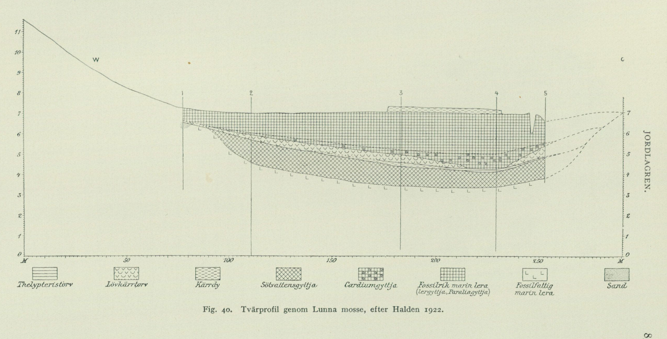 Figure 40, cross-section through Lunna mosse with complete source legend and caption