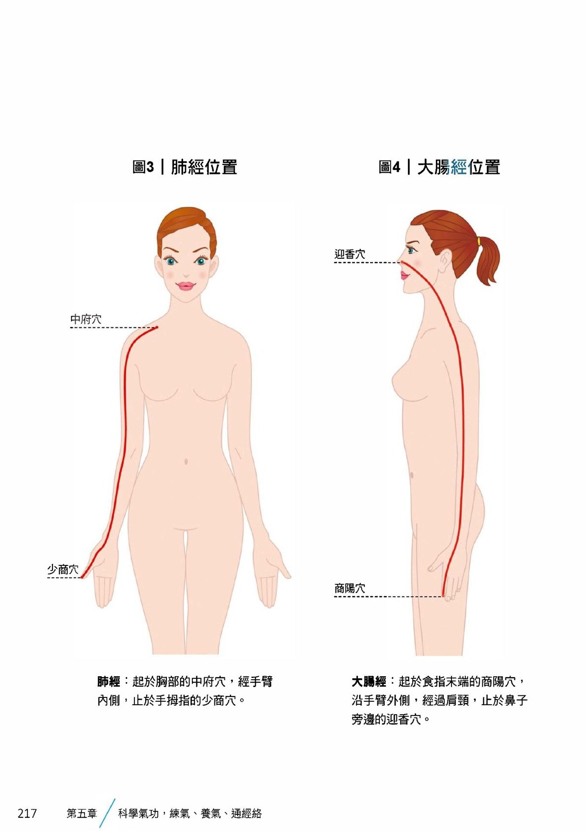 Source visual from PDF page 219
