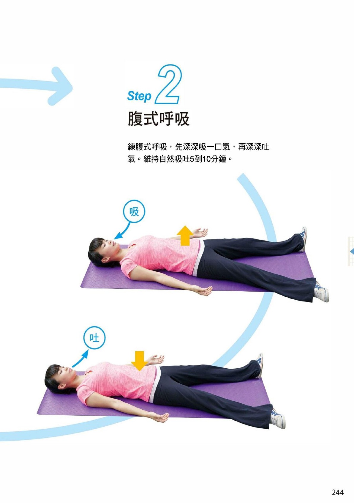 Source visual from PDF page 246