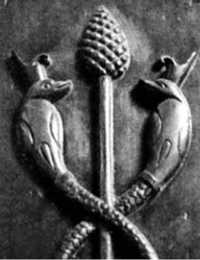 Source image from leaf 40