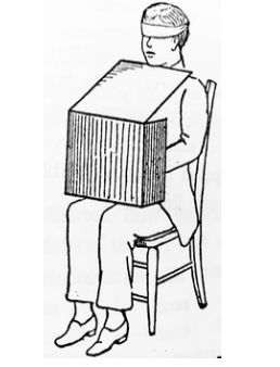 Source image from leaf 50