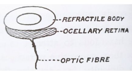 Source image from leaf 54