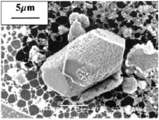 Source image from leaf 137