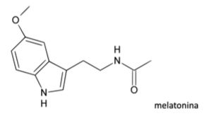 Source image from leaf 139