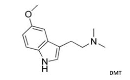 Source image from leaf 139