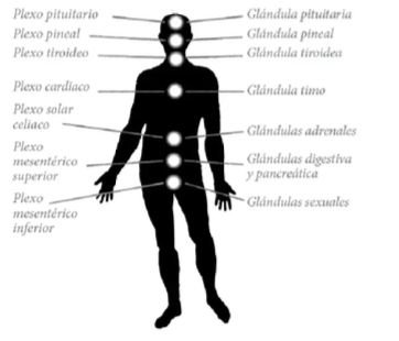 Source image from leaf 188