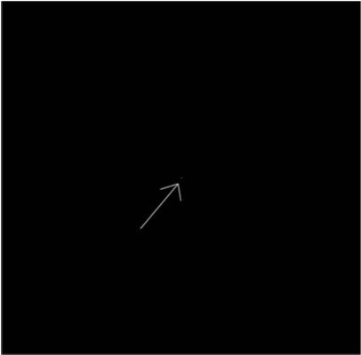 Source image from leaf 232