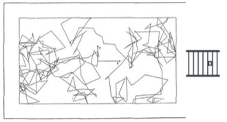 Source image from leaf 334