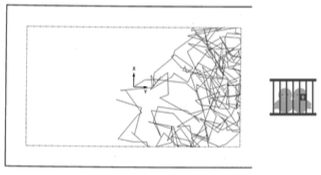 Source image from leaf 335