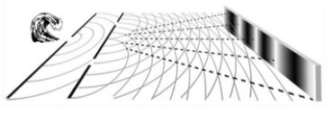 Source image from leaf 389