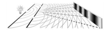 Source image from leaf 390