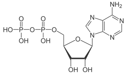 Source figure from EPUB unit pulse-diagnosis:129