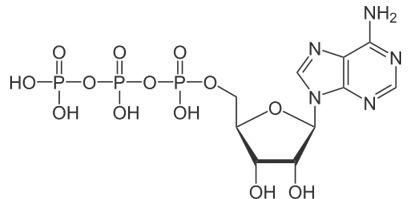 Source figure from EPUB unit pulse-diagnosis:129