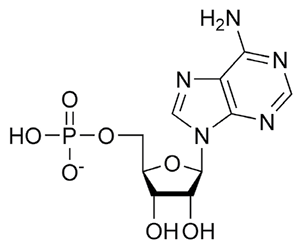 Source figure from EPUB unit pulse-diagnosis:129