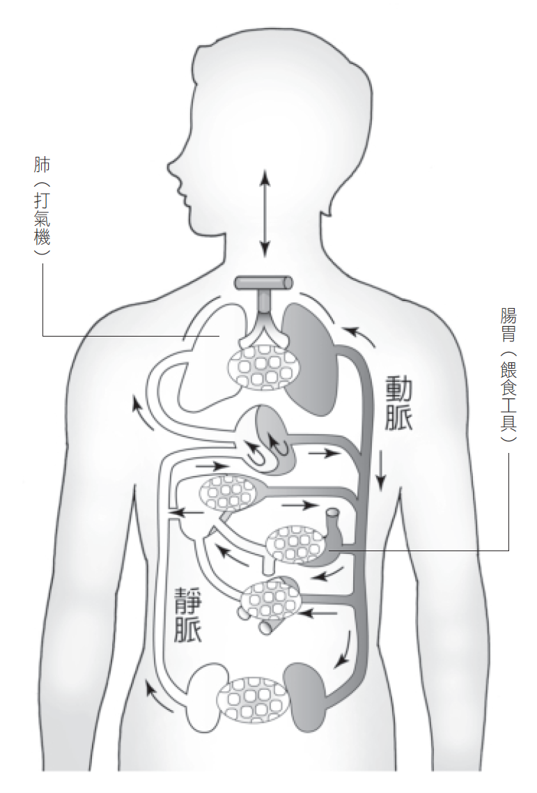 Source figure from EPUB unit pulse-diagnosis:145