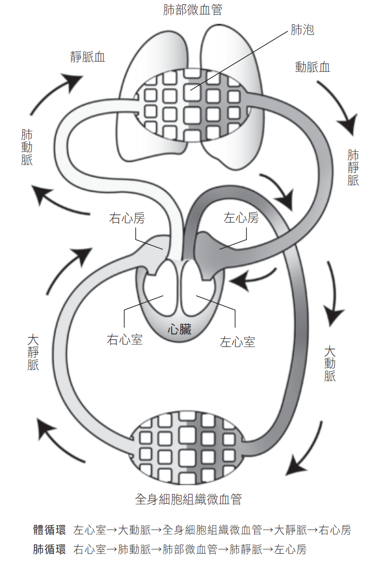 Source figure from EPUB unit pulse-diagnosis:153
