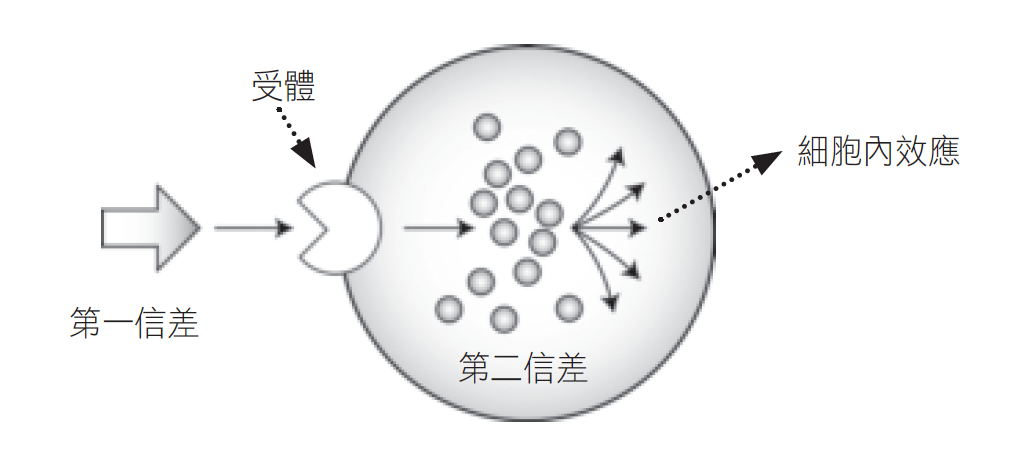 Source figure from EPUB unit pulse-diagnosis:165