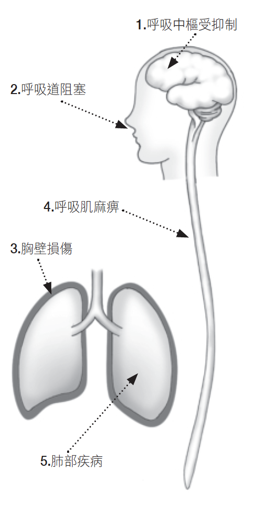 Source figure from EPUB unit pulse-diagnosis:170