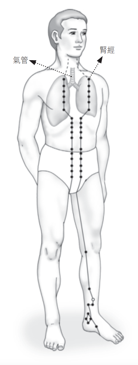 Source figure from EPUB unit pulse-diagnosis:170